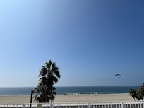 Rooftop patio was amazing place to hang out in peace and enjoy the beautiful weather