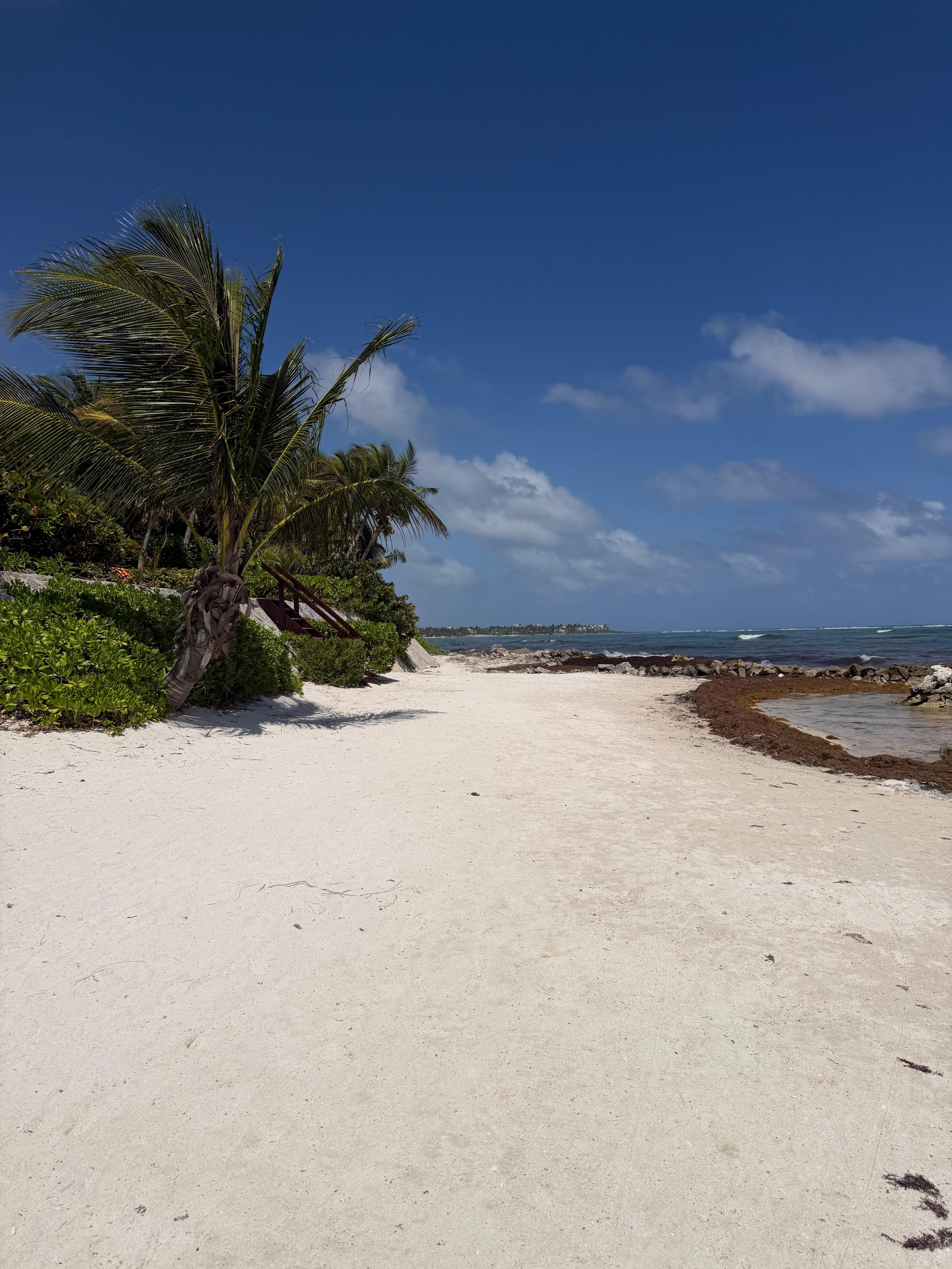 We booked here because of the beautiful beaches there was sargassum this year but nature doesn’t care about tourism lol 