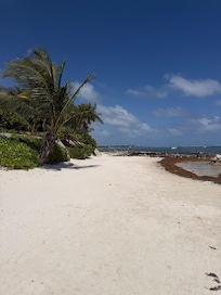 We booked here because of the beautiful beaches there was sargassum this year but nature doesn’t care about tourism lol