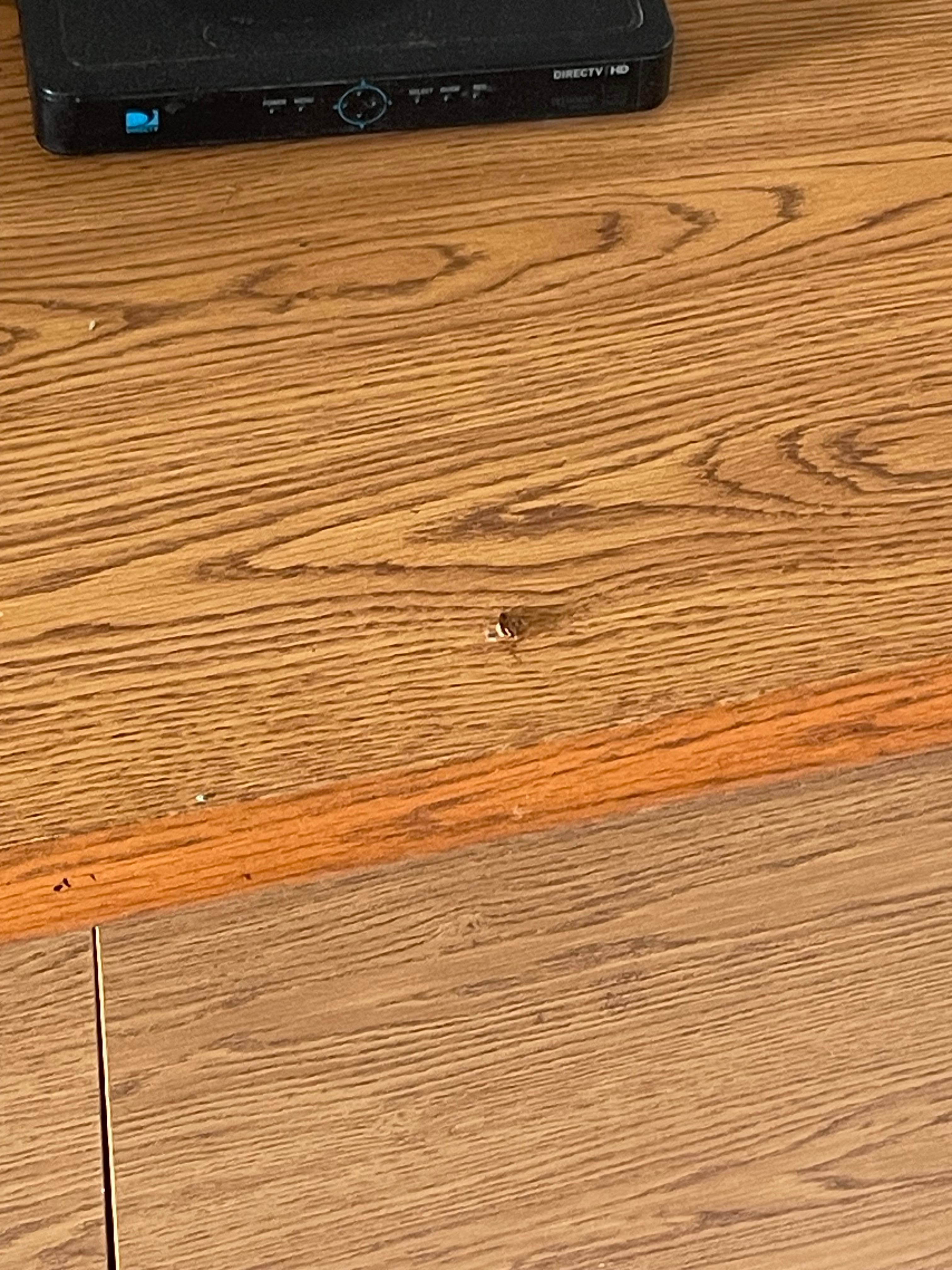 That’s only one out of many seen and killed 