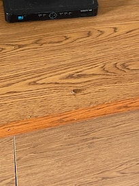 That’s only one out of many seen and killed