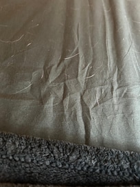 Dog hair