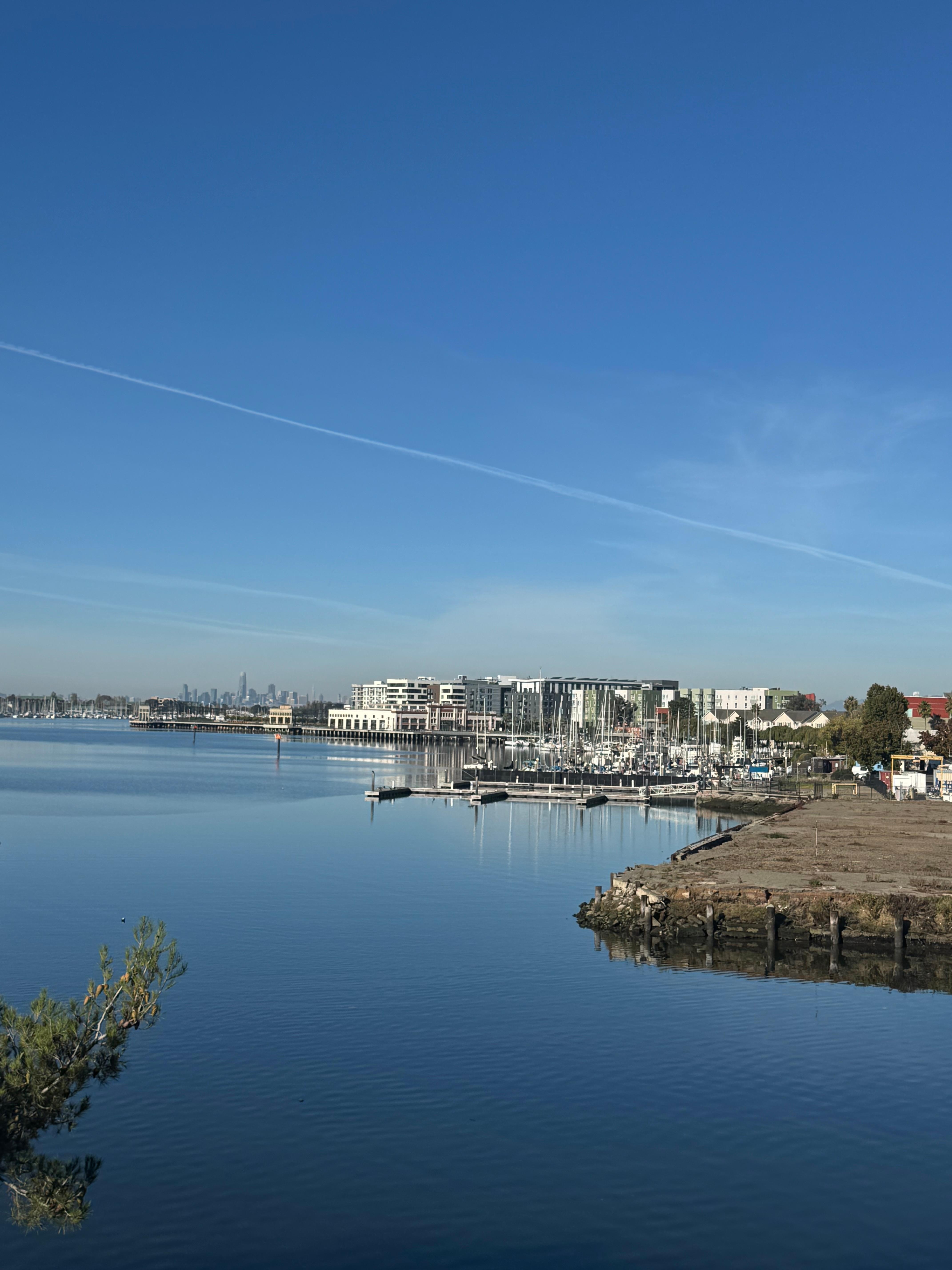 View from my balcony 