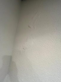 Water damage