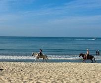 Right on the beach…view is spectacular. Horse rides are available for purchase.
