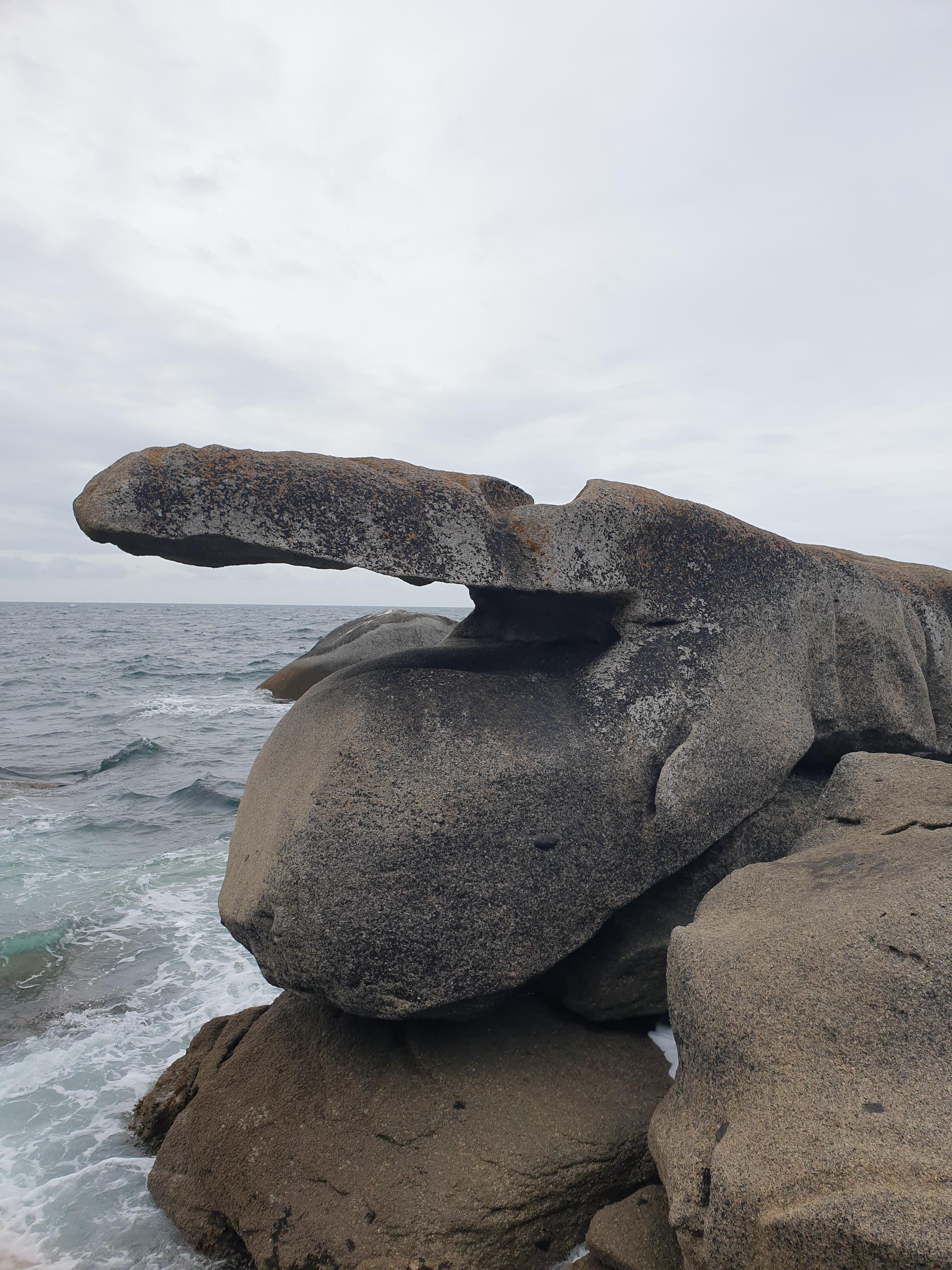 Blick auf die Felsen