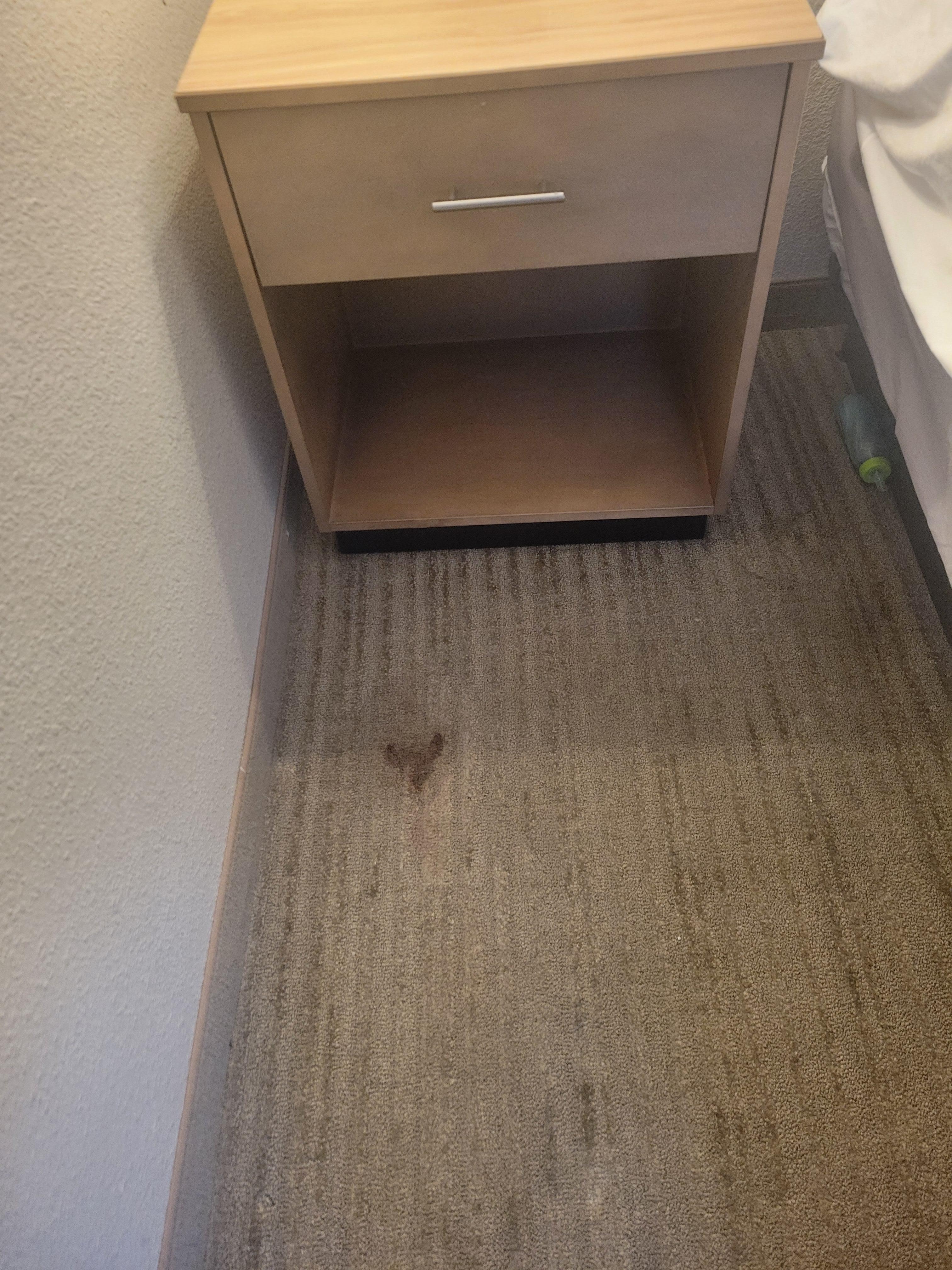 Poop stain on the floor