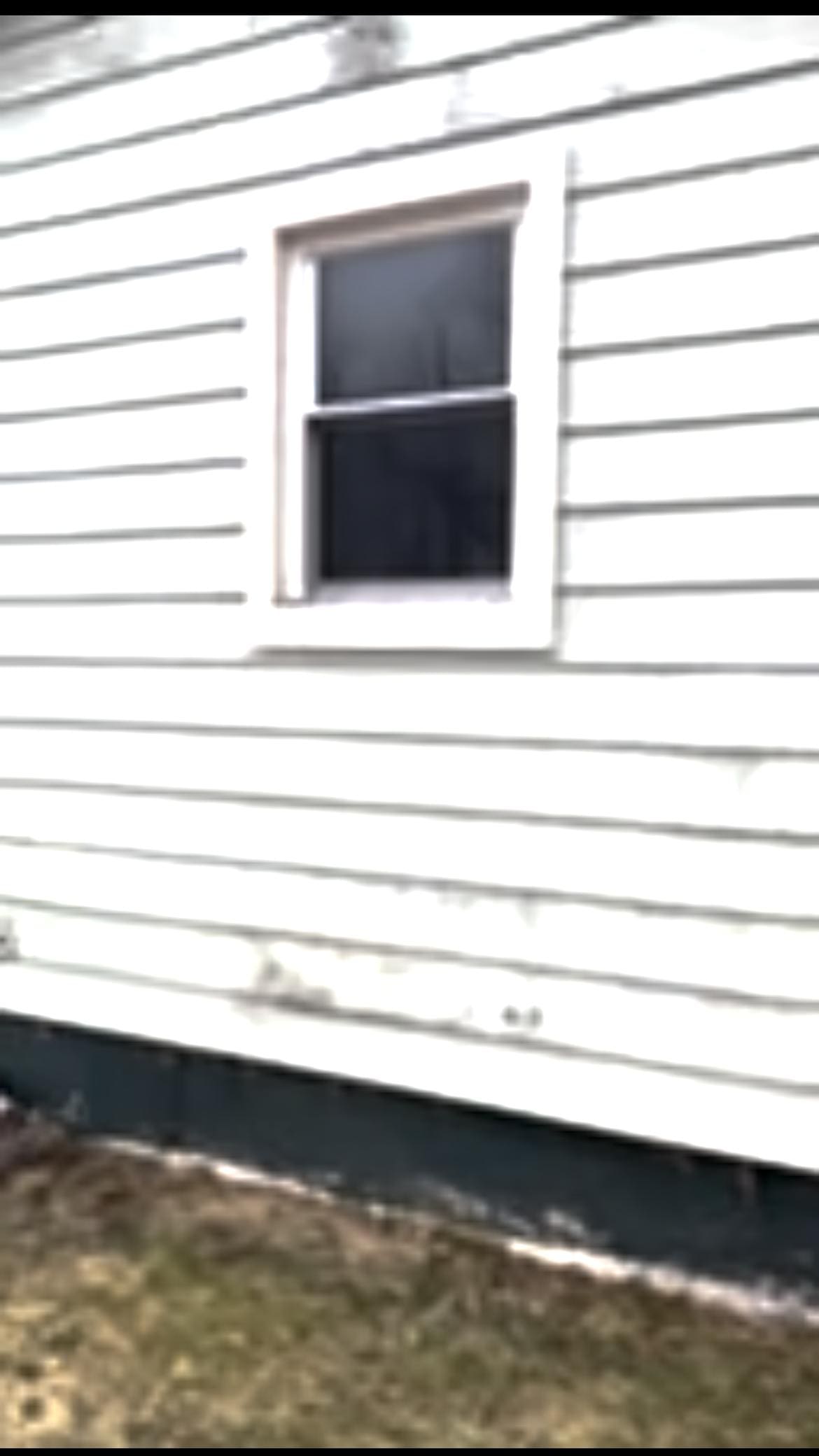 Exterior of the house, algae growth