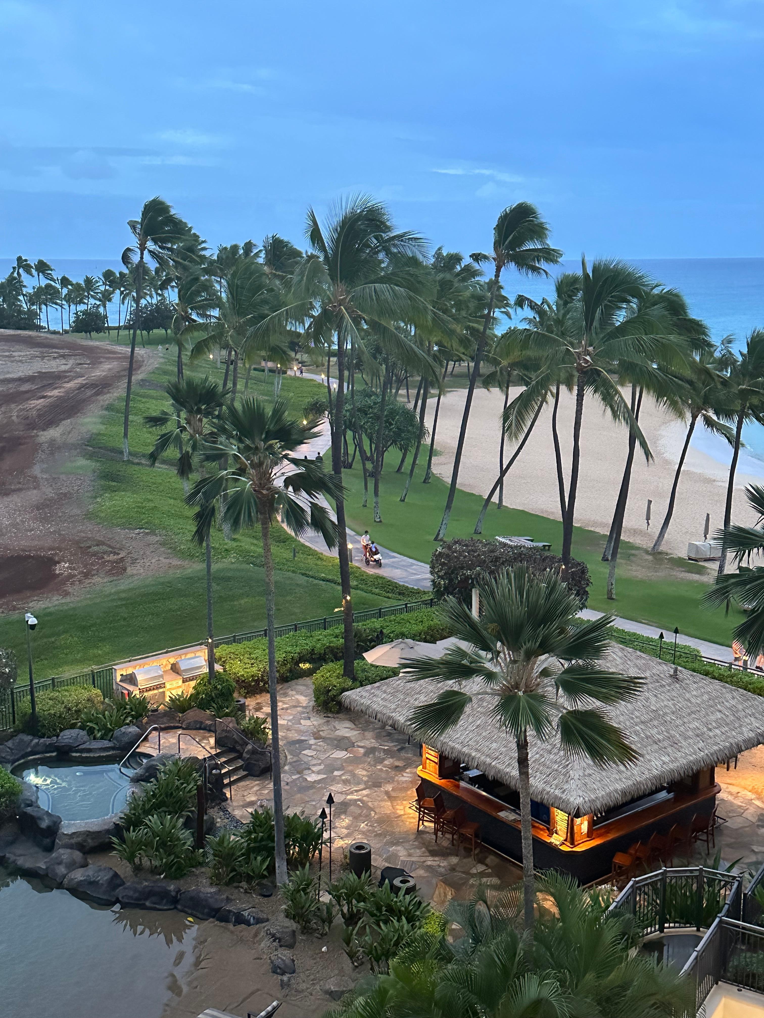 The tiki bar was enjoyed by all, and having the lagoon so close was a delight.
