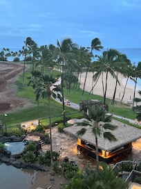 The tiki bar was enjoyed by all, and having the lagoon so close was a delight.
