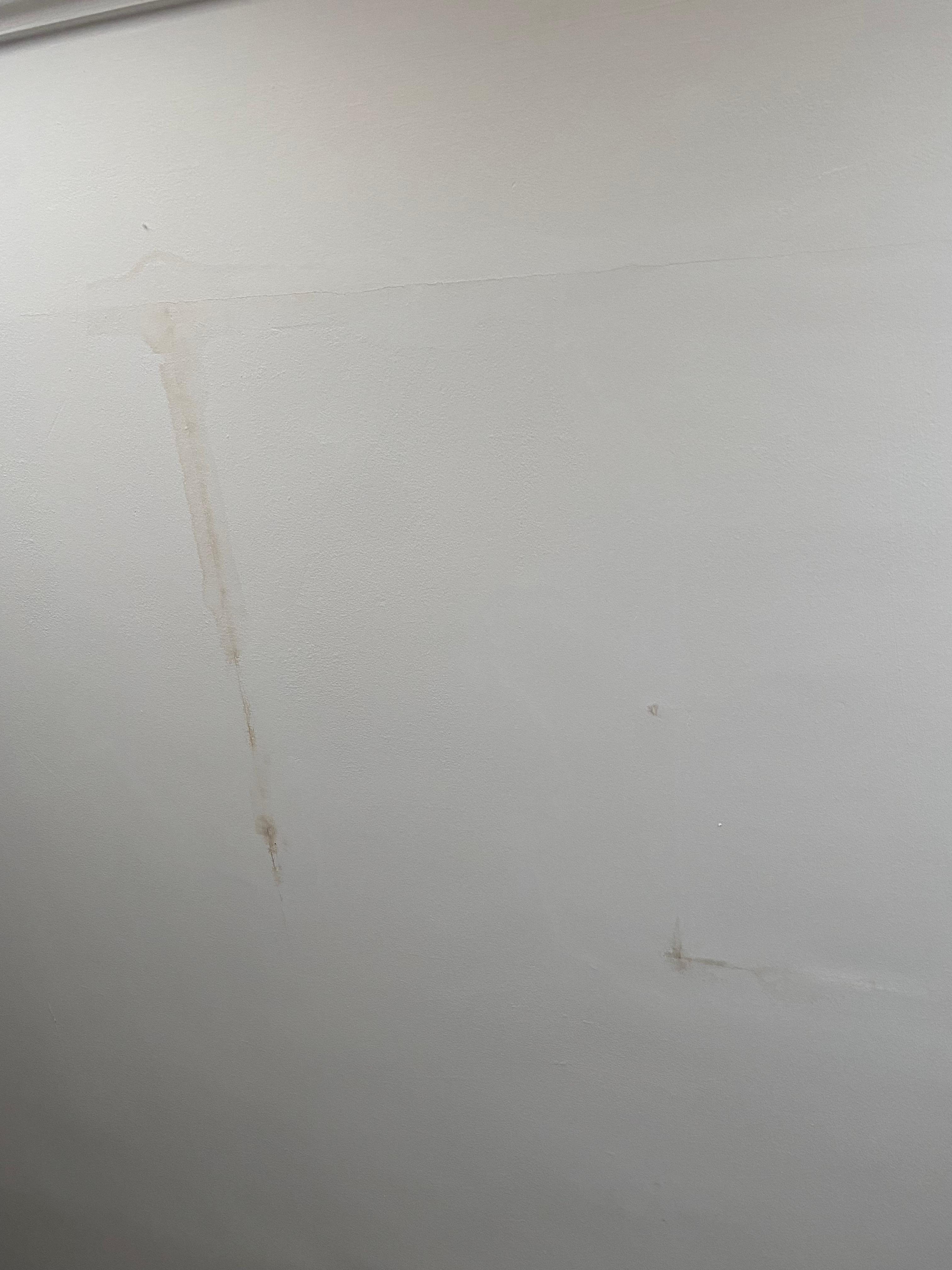 Whole room needed a bit of TLC 