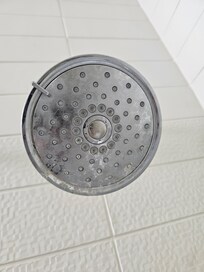 Shower head