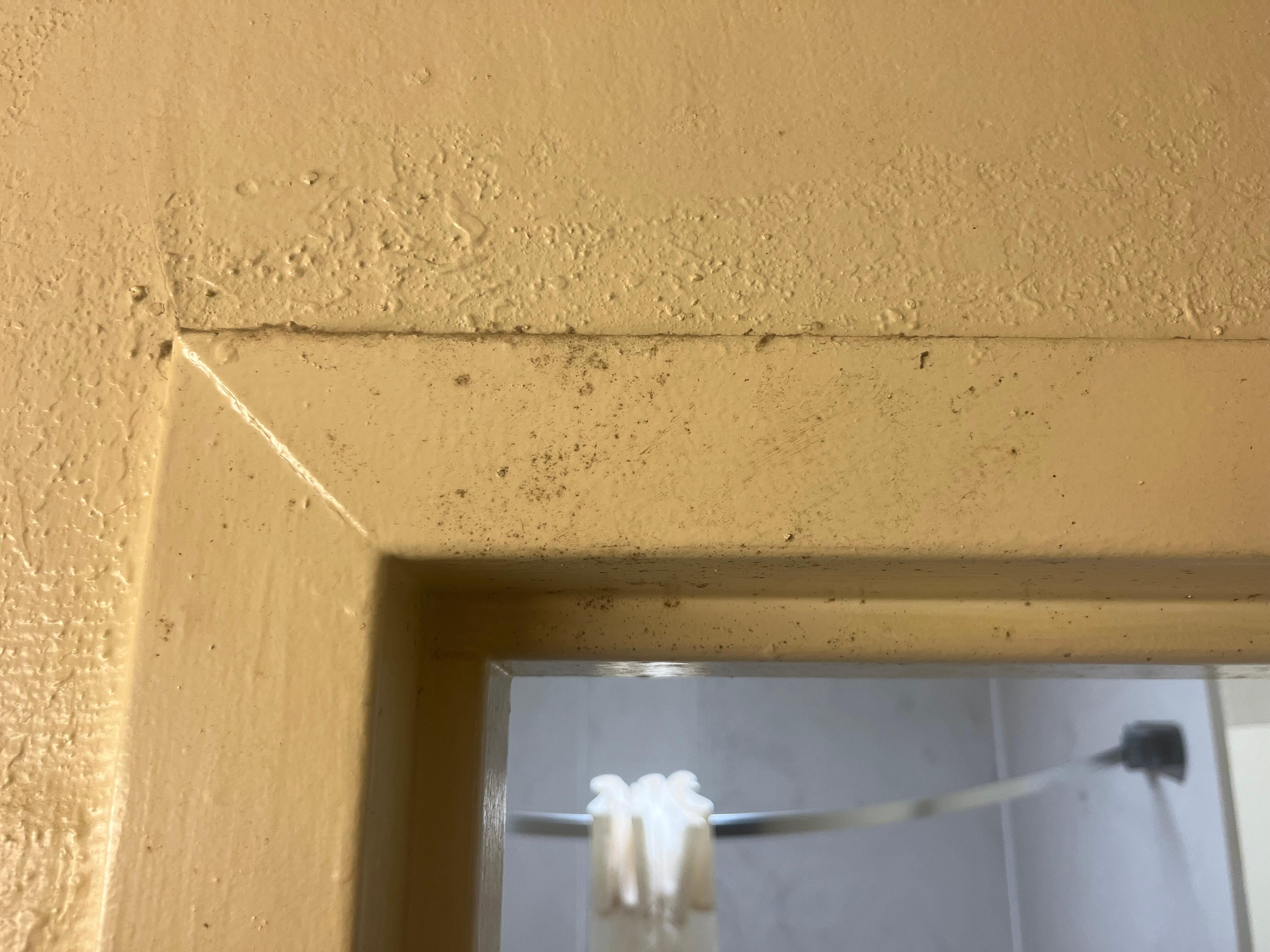 Mold on the doorjams