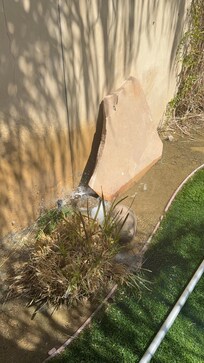 Broken sprinkler heads
