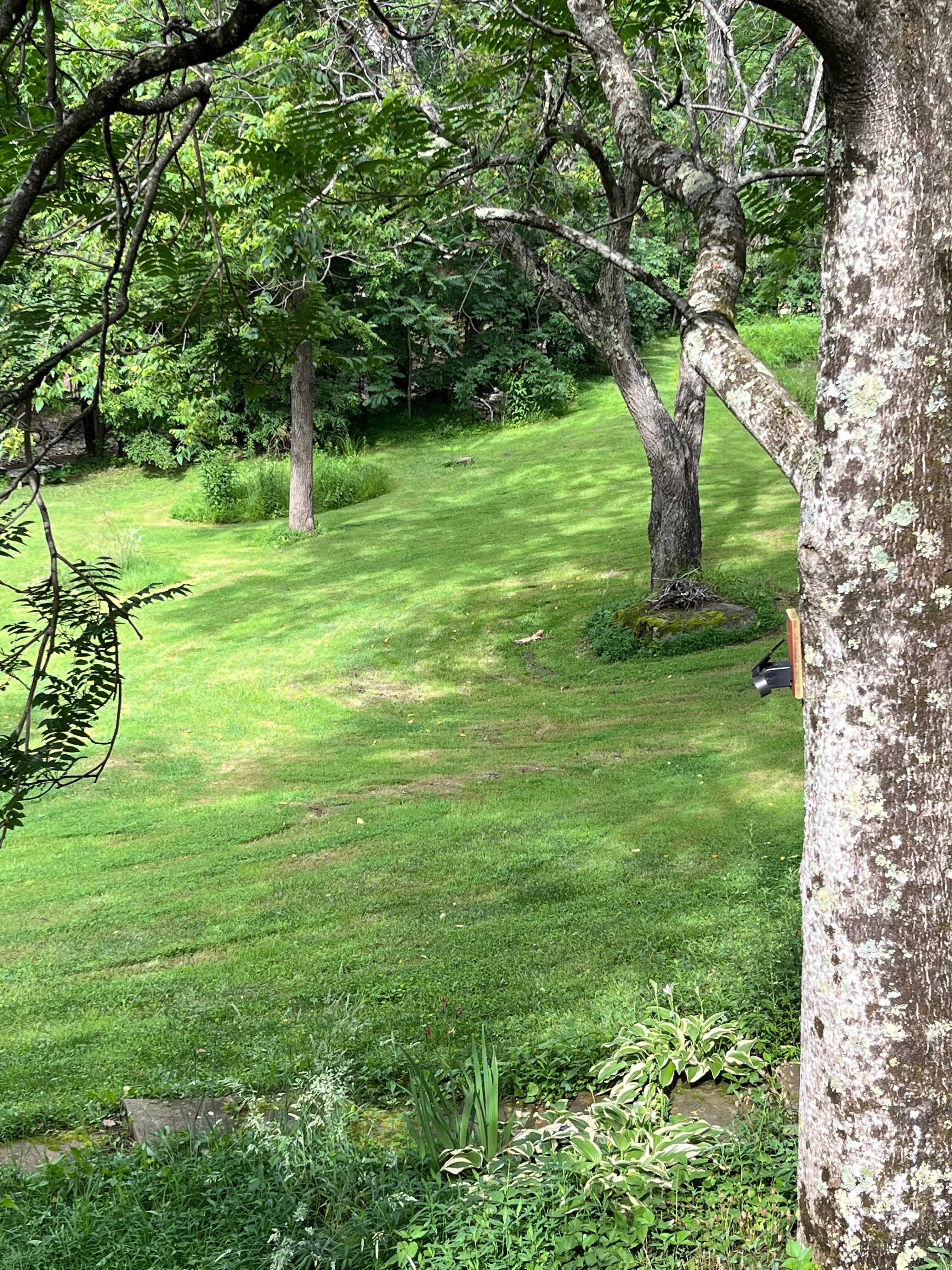 Grounds