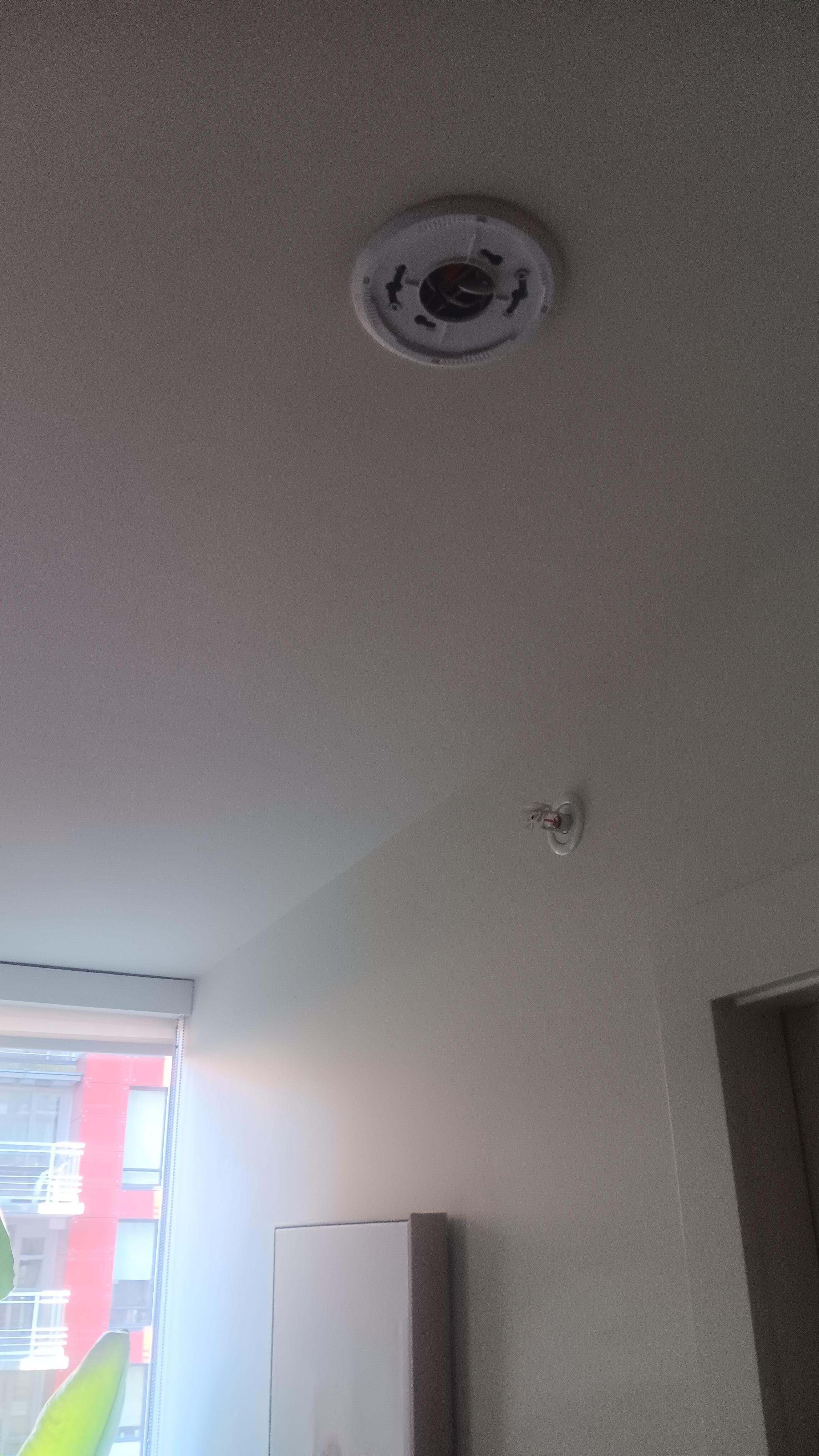 Missing fire alarm