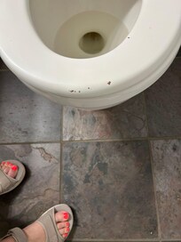 Chipped toilet seat in master.