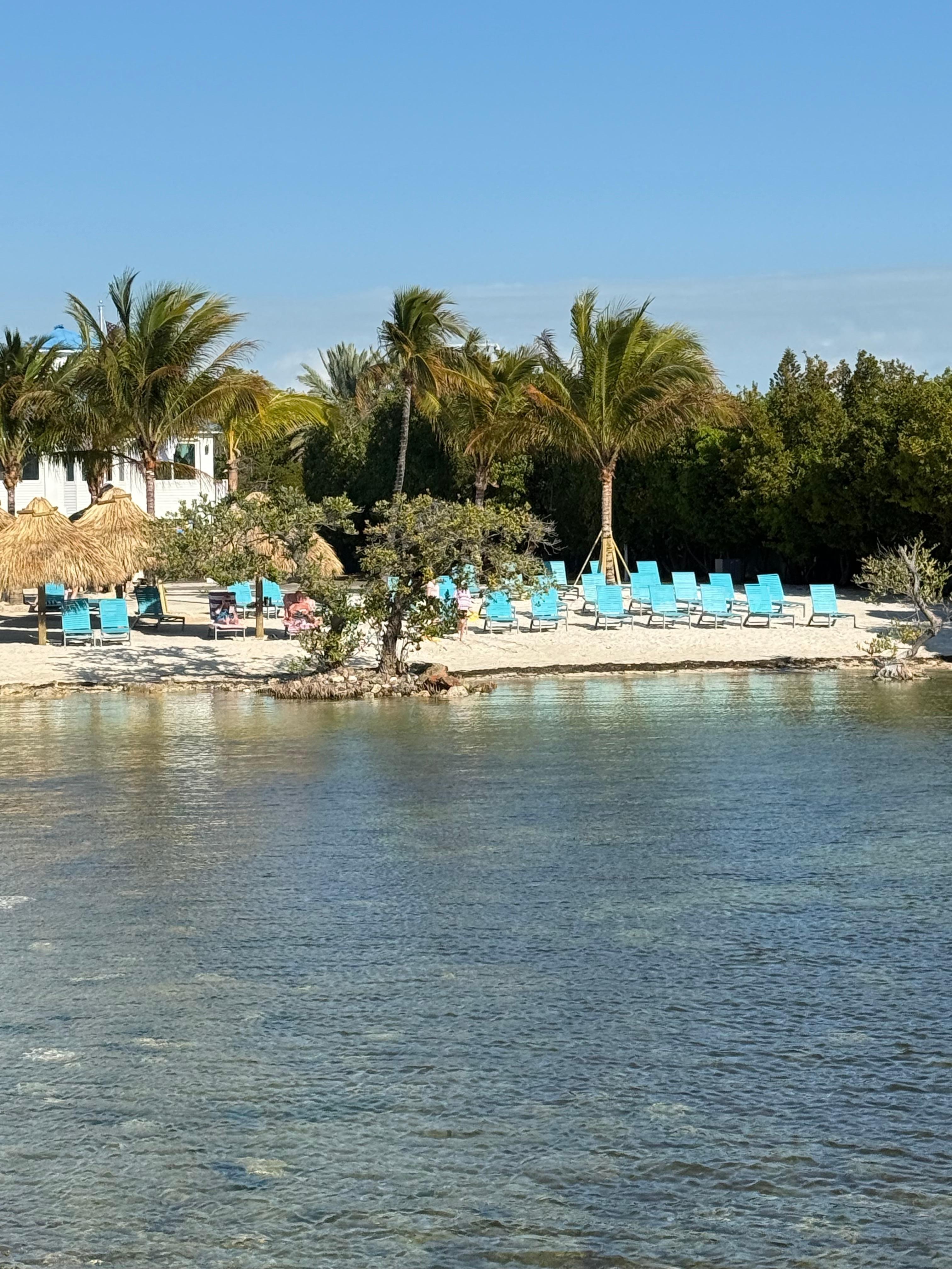 Beach area from the dock