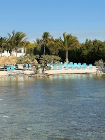 Beach area from the dock