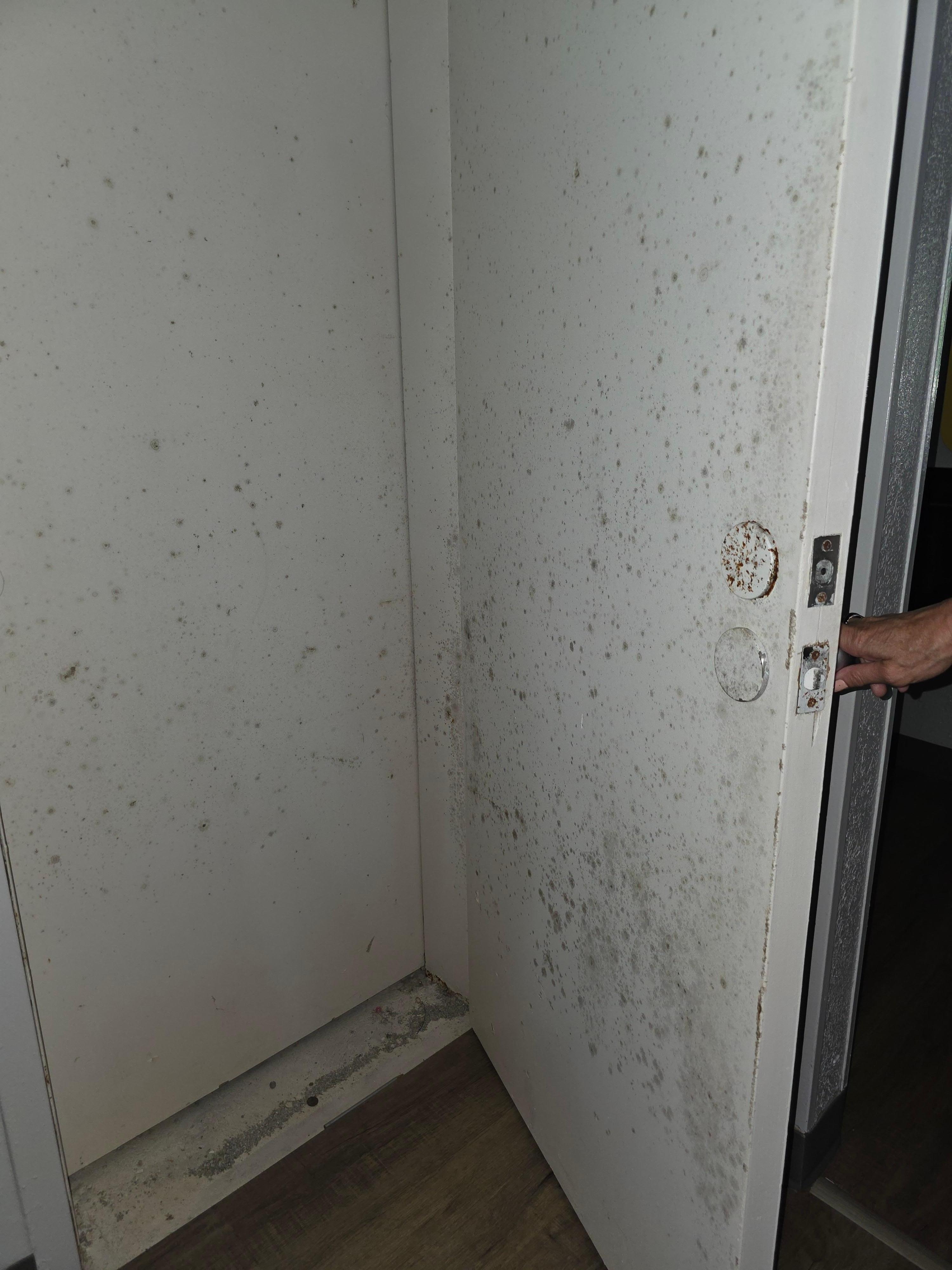 Mold between the doors