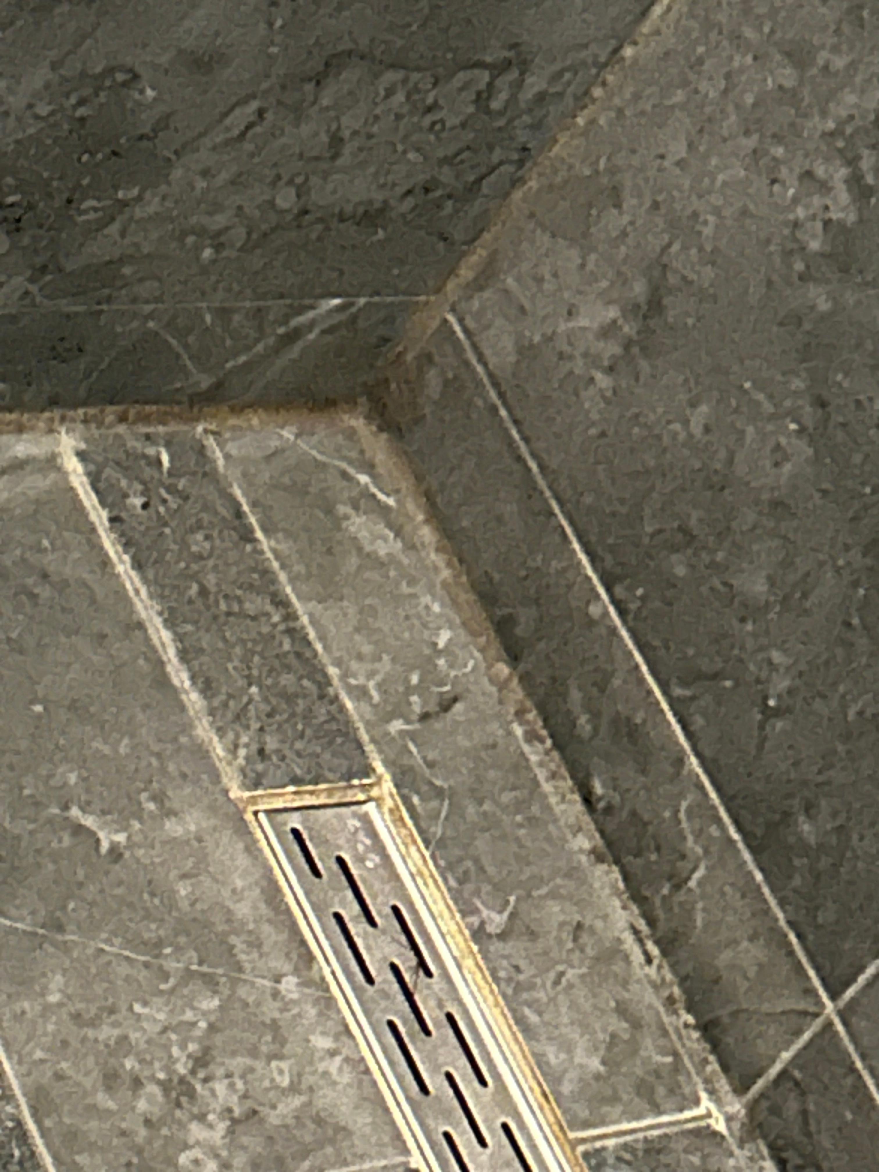 Fugen völlig verschimmelt 