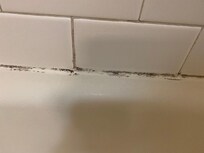 Black mold.