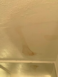Water damage and possible mold on ceiling