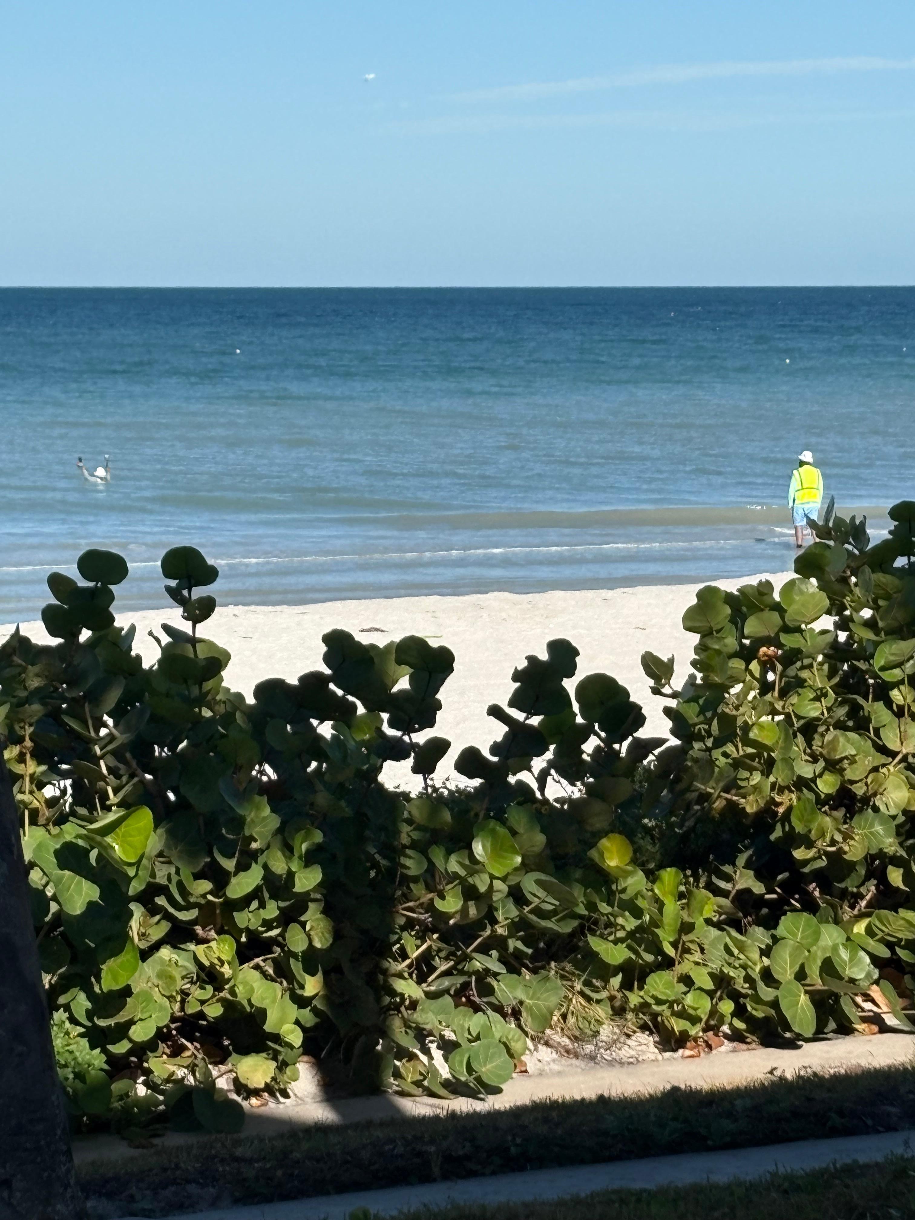 View from the back patio