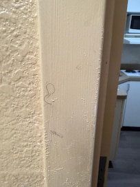 Hair on the bathroom doorframe