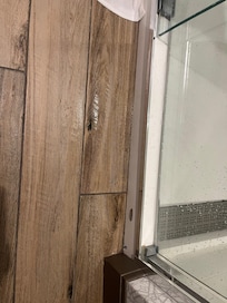 Water from the leaky shower