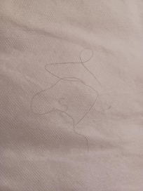 Cheveux et poils dans le lit