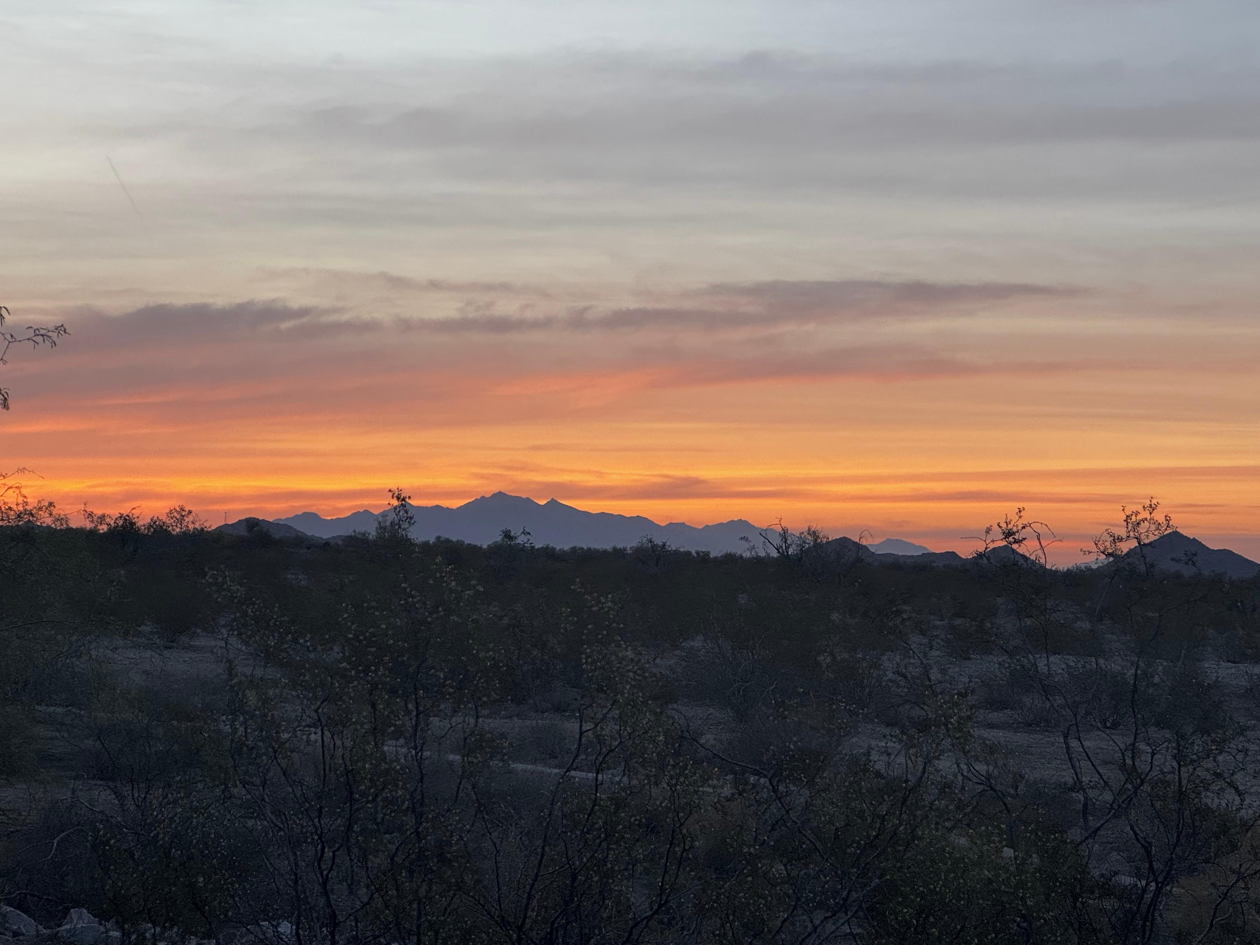 Backyard sunset view
