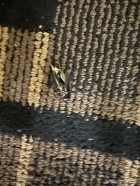Room carpet