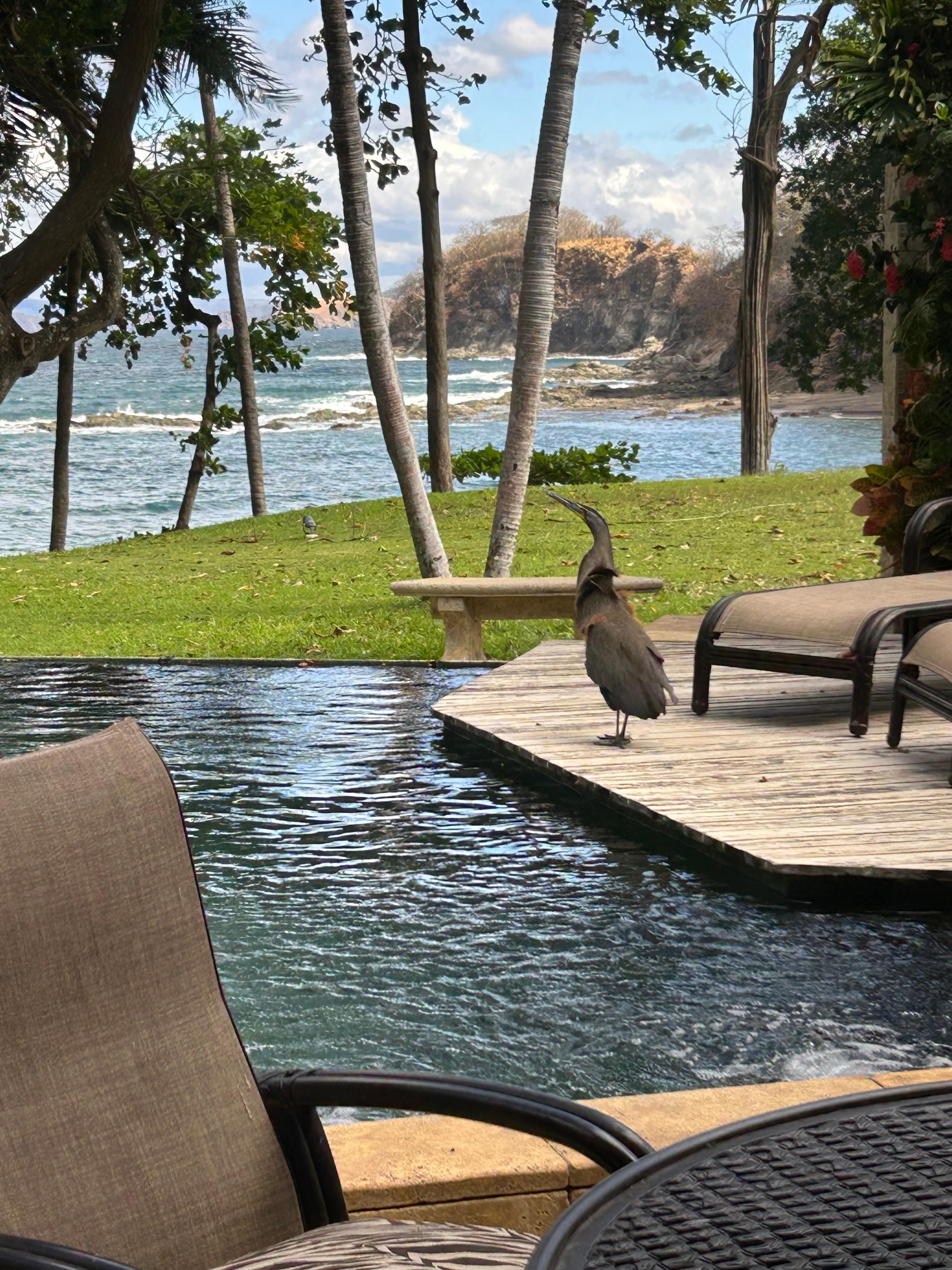 View from master room balcony.