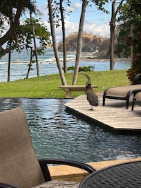 View from master room balcony.