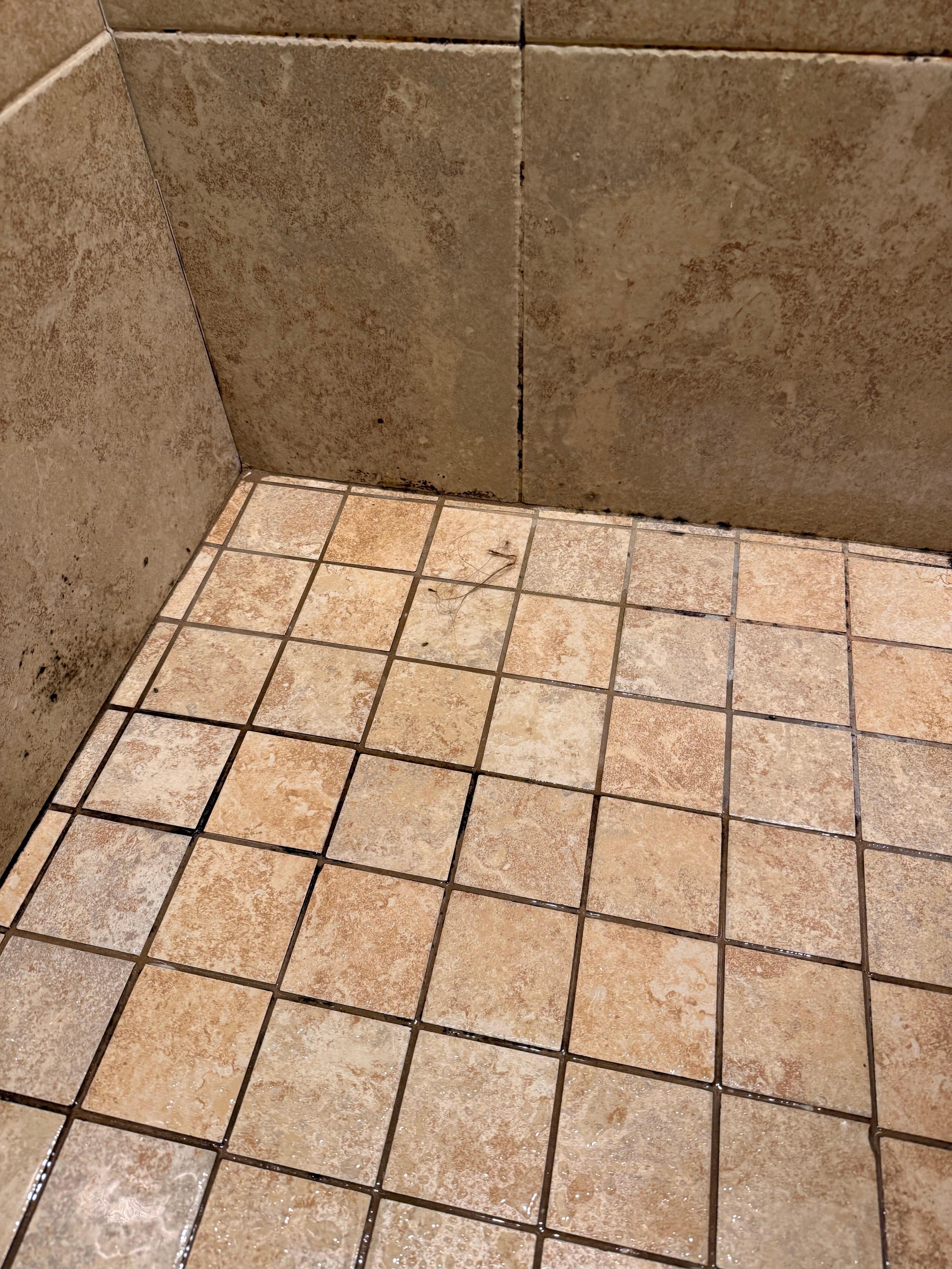 Hair from previous guest