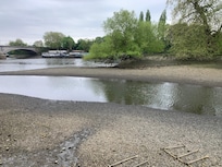 Low tide