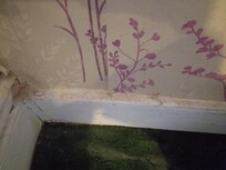 Filthy skirting and carpet