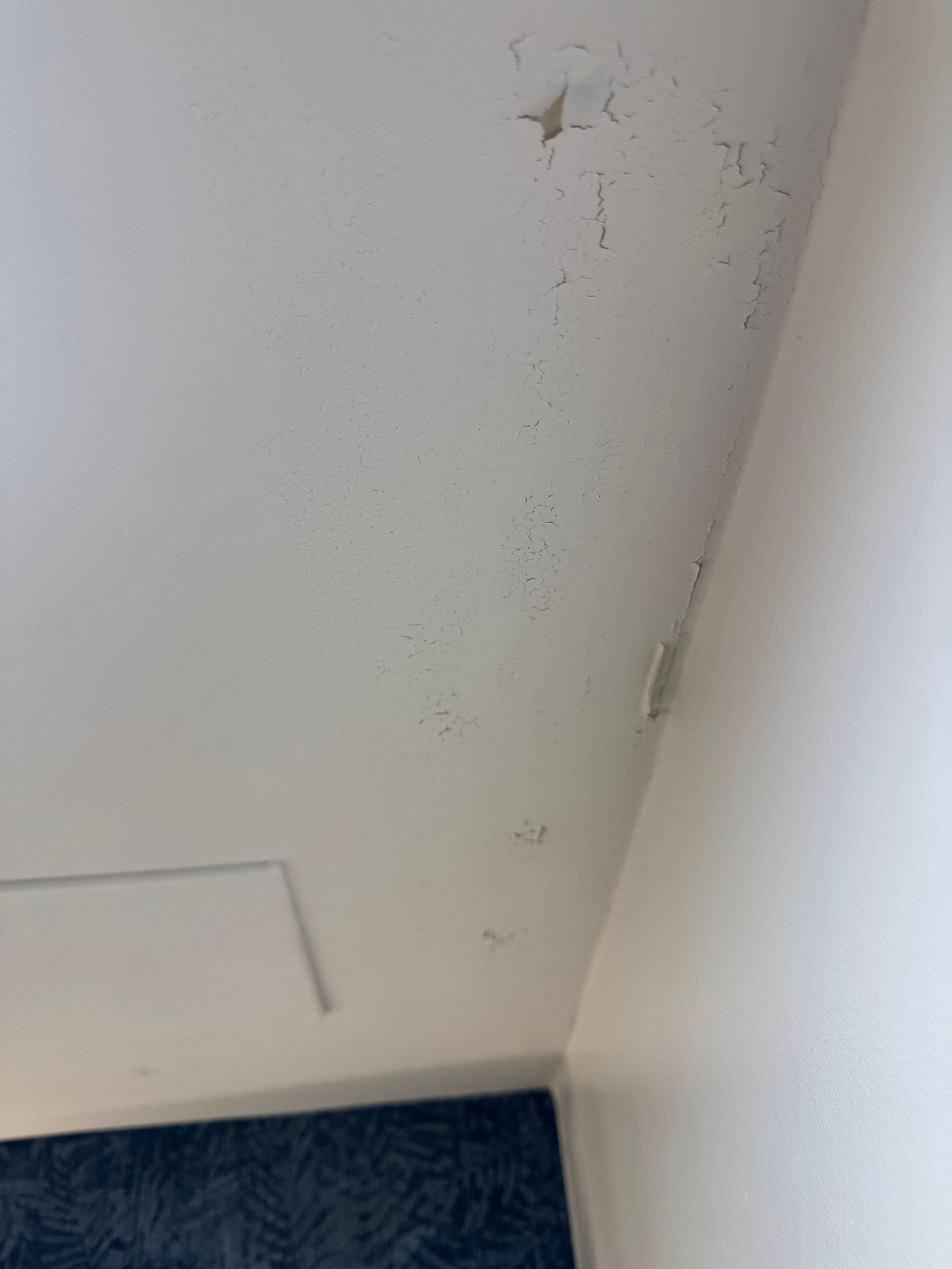 Peeling paint