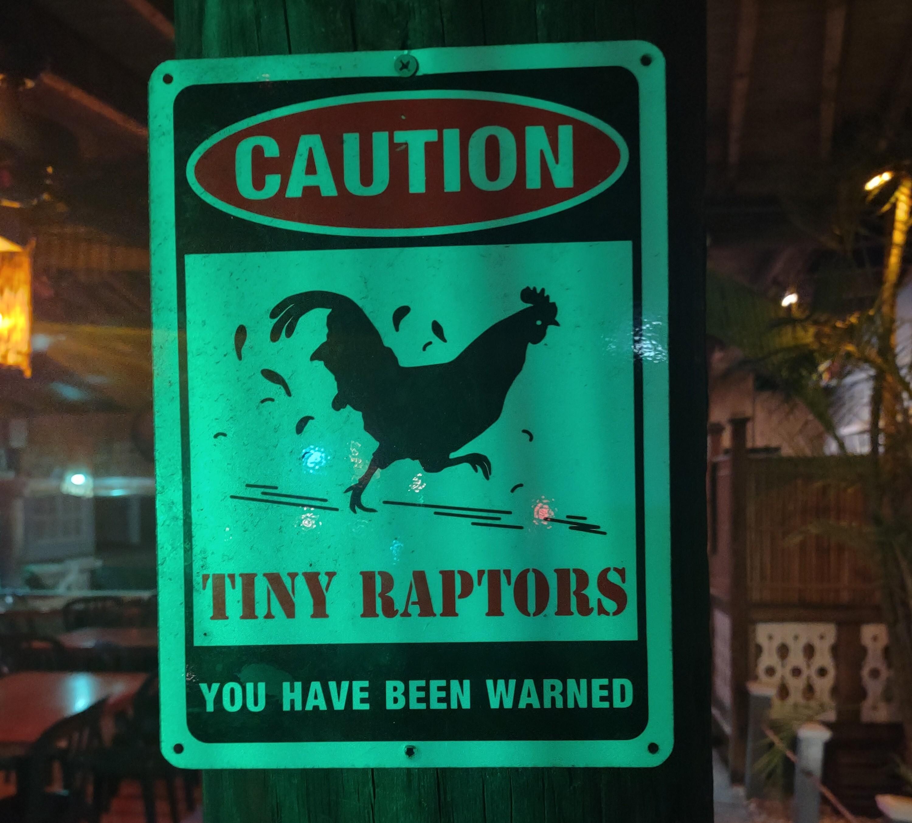 Chickens are everywhere, this sign is simply fantastic 