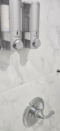 Empty Body Wash dispenser