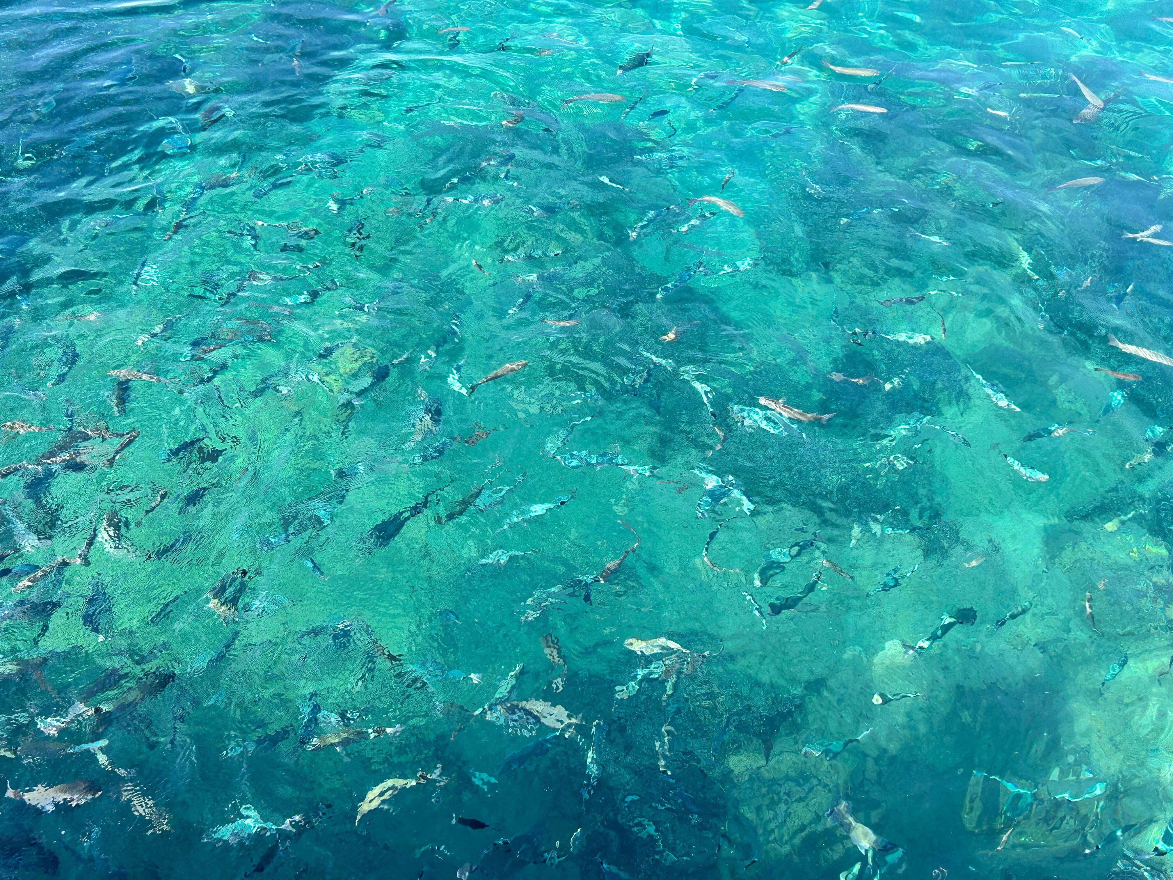 The sea