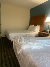 Queen beds