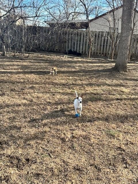 Love the fenced back yard and a great grill, etc.  
