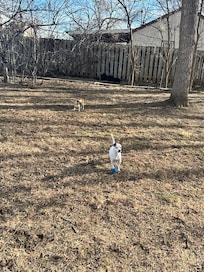 Love the fenced back yard and a great grill, etc.