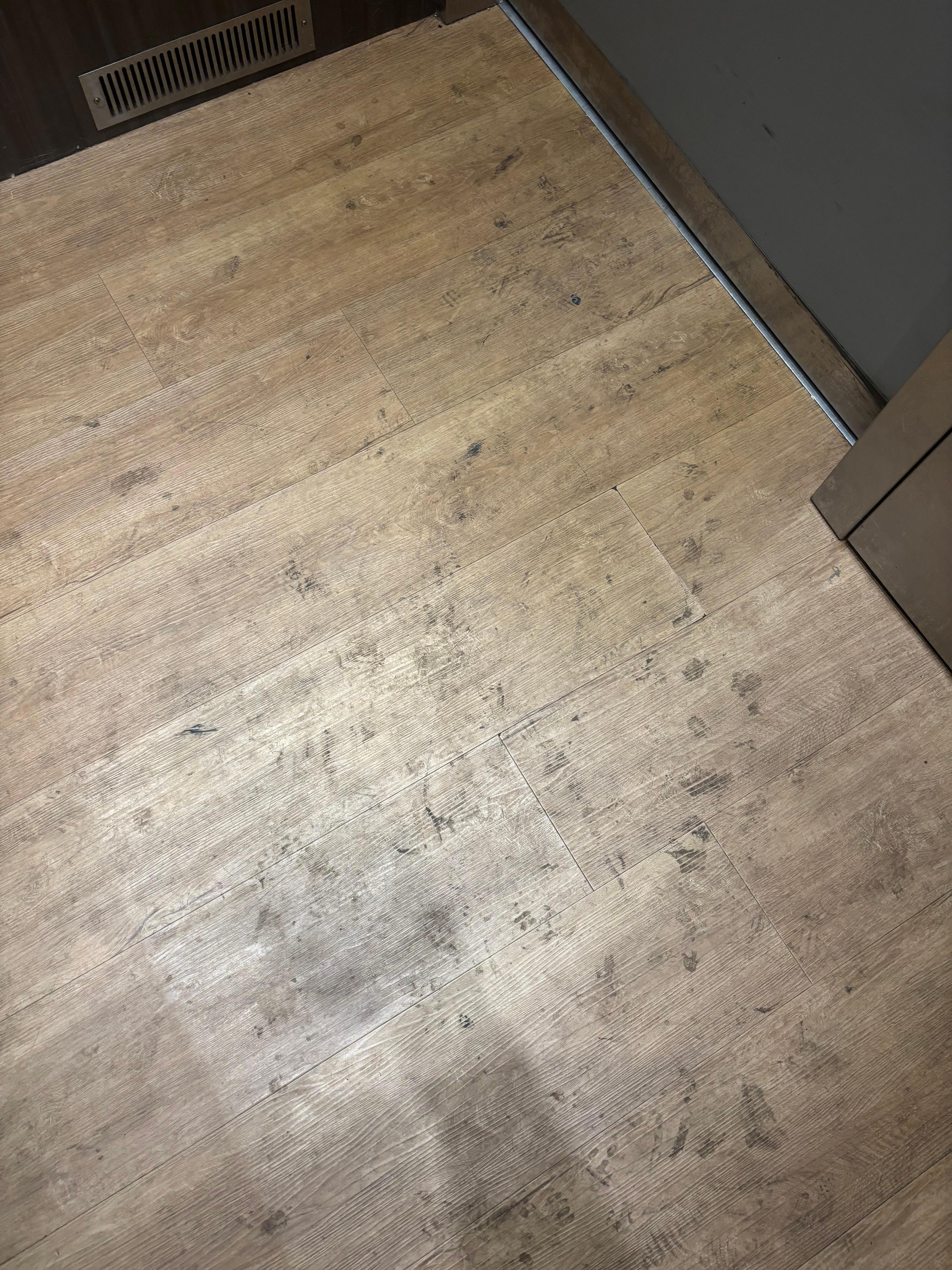 Dirtiest elevator I’ve ever seen. 