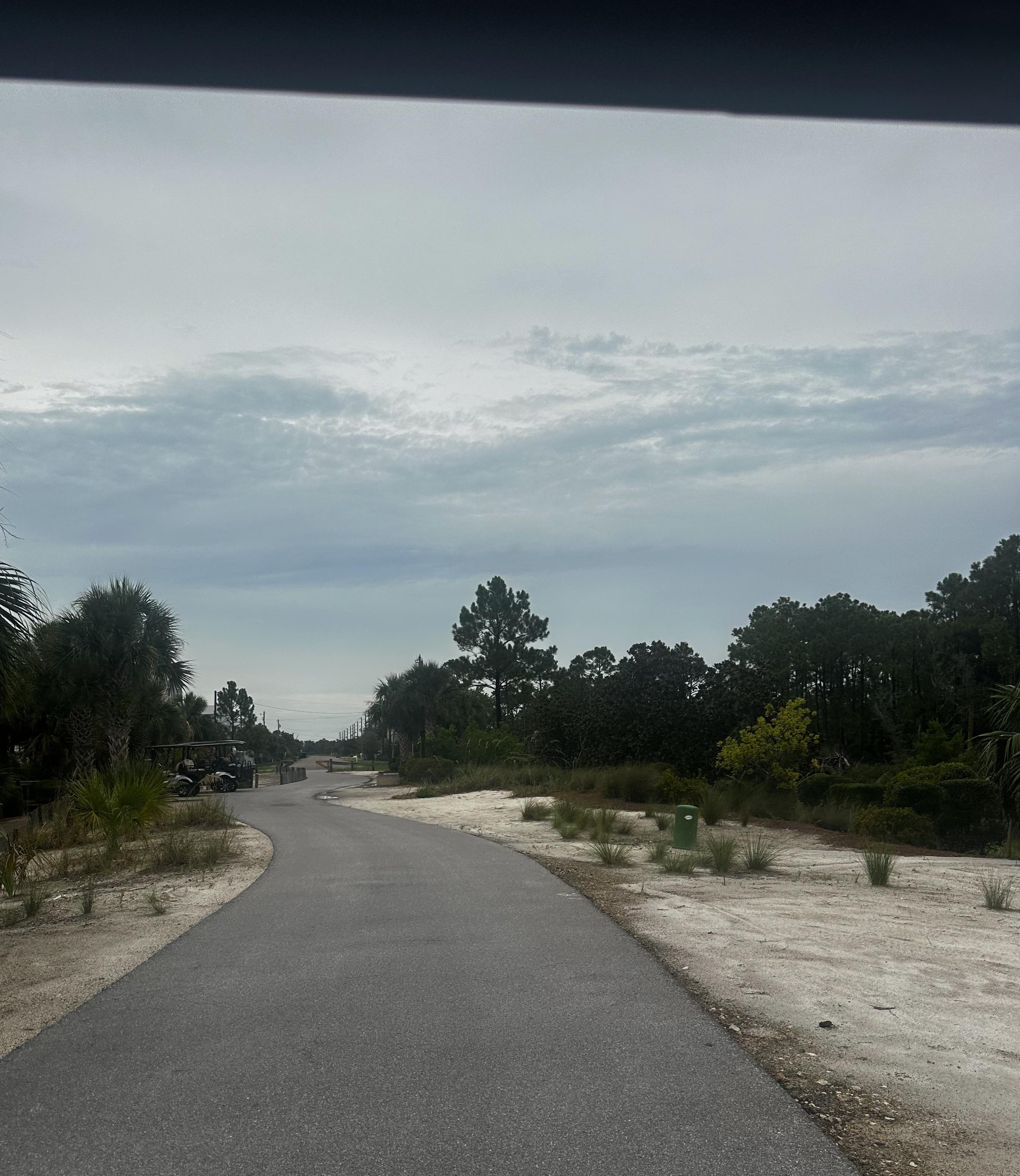The cart path to the beach. 