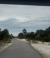 The cart path to the beach.