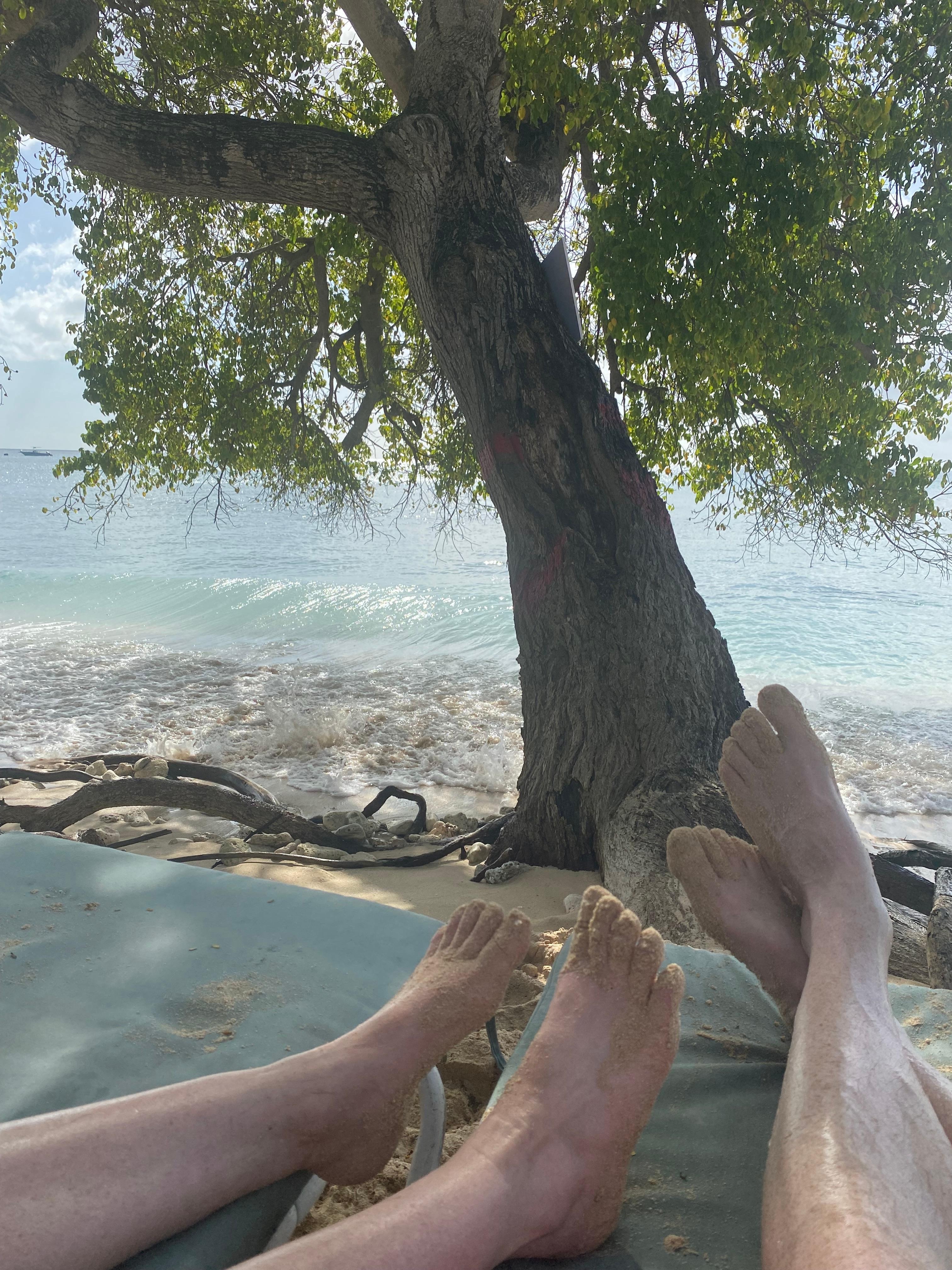 Beach in front of condo