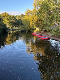 The boats for hire and the swans to feed.